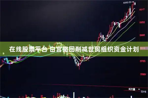 在线股票平台 白宫撤回削减世贸组织资金计划