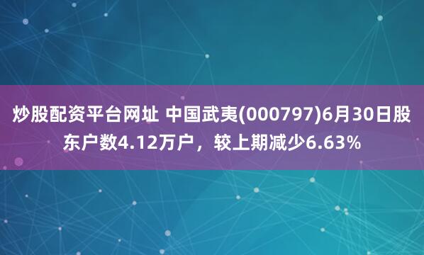 炒股配资平台网址 中国武夷(000797)6月30日股东户数4.12万户，较上期减少6.63%