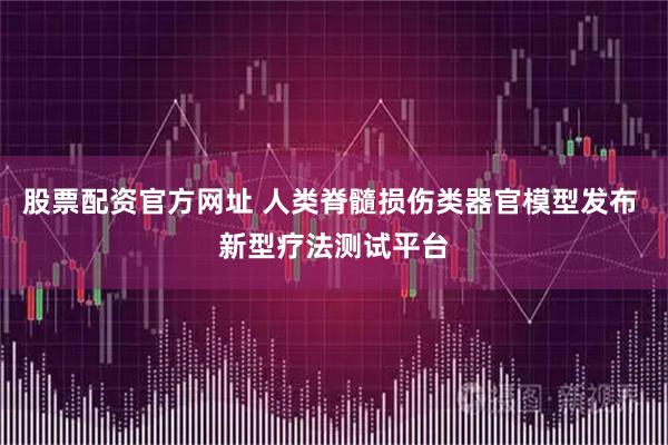 股票配资官方网址 人类脊髓损伤类器官模型发布 新型疗法测试平台