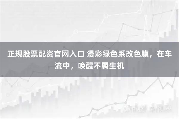 正规股票配资官网入口 漫彩绿色系改色膜，在车流中，唤醒不羁生机
